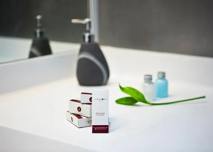 Taximtown 3* イスタンブール